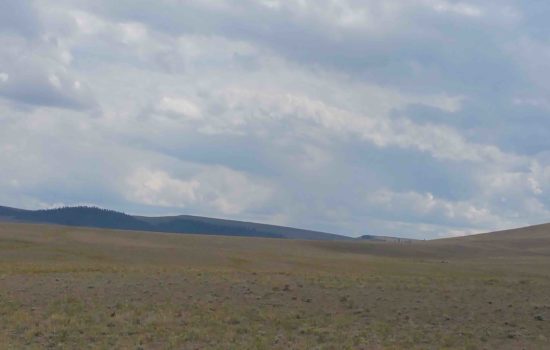5 acres in Park County, Colorado. Remote property! Lots of Privacy. Cash Price: $9,995.00 (Wicaka Trail).