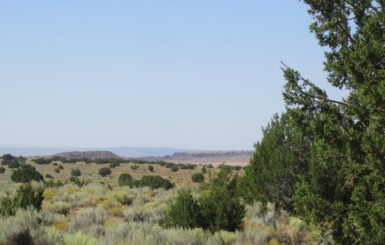 43 acres in Apache County, Arizona. Surround yourself with endless opportunities for outdoor adventure. (N7103)