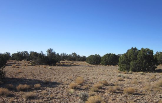 80 ac in Apache Cty, AZ. Unsurpassed Seclusion. You must see! (Cty Rd N7200)