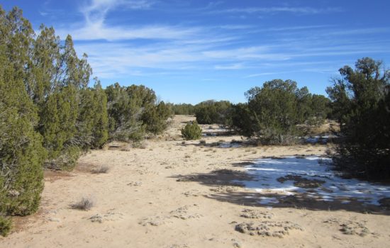 40 acres in Apache County, Arizona. Perfect size for seclusion, yet only 3 miles off Hwy 61. (County Rd N7200-2)