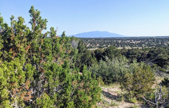 40 acres in Huerfano County. Quiet, private, and spacious, yet only 15 minutes from highways. (Williams Rd)